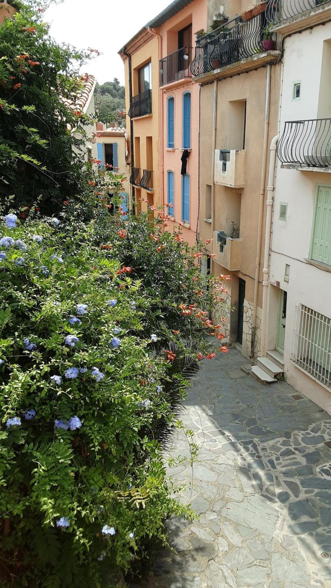 Villa Jetez L'Ancre Dans Notre Maison De Pecheur ! Collioure Exterior foto